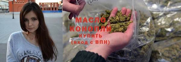 индика Арсеньев