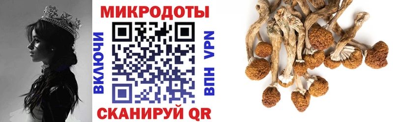 купить наркотики цена Усть-Джегута Галлюциногенные грибы MAGIC MUSHROOMS
